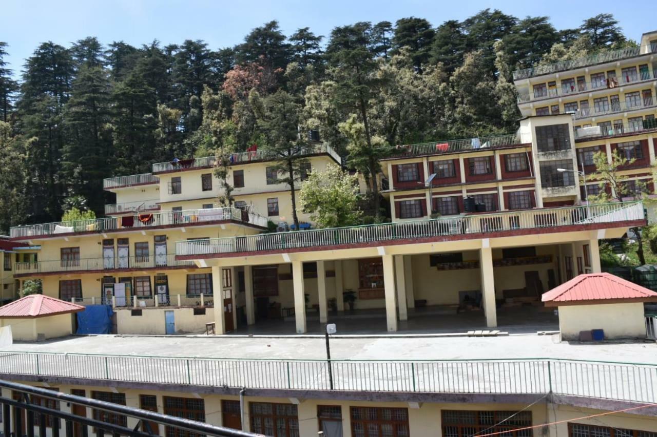 Hotel Misty Woods à Dharamshala Extérieur photo