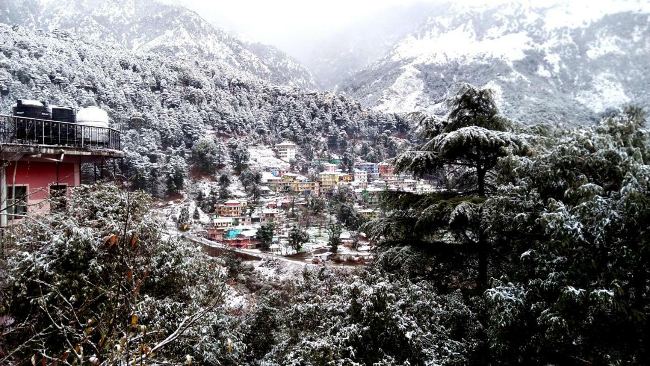 Hotel Misty Woods à Dharamshala Extérieur photo
